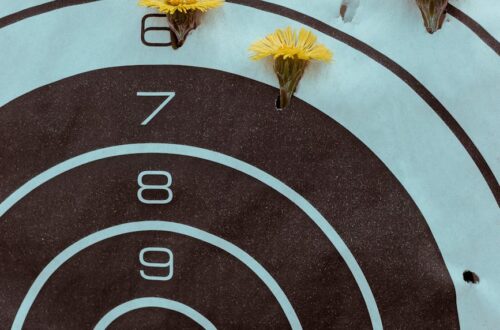 GRE Percentile Chart: How to Read Percentiles and Set Target Scores